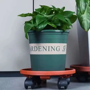Base con Ruedas para Macetero